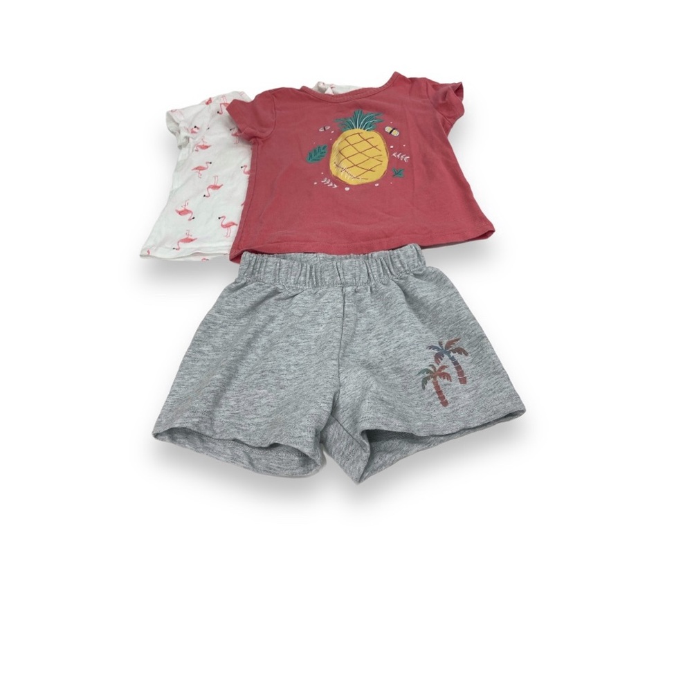 Pekkle shirts and shots lot of 3 size 3t